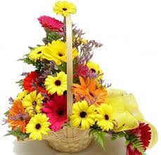 Home Flowers 24 Mixed Gerberas Basket Flowers Online Send Flowers Online Flowers Delivered
