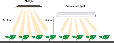 Did you know that the difference of one inch in height above your grow light plant could be the difference between a healthy, vibrant indoor plant and a sick. How To Give Seedlings Enough Light To Be Healthy Upstart University