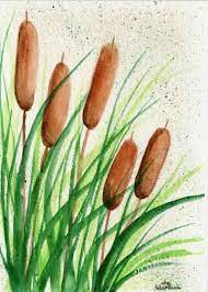 Bath Area Art Possibility Cat Tails Plant Cat Tail Wild Edibles