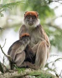 Nicholas Philipson (@nickphilipson) • Instagram photos and videos