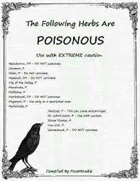Pin By Laura Thomas On Blessed Be Herbal Magic Magical Herbs Witch Herbs