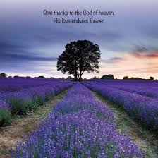 Beautiful Great Birthday Scenery Scenery Beautiful Birthday We have 45+ amazing background pictures carefully picked by our community. beautiful great birthday scenery