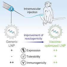 Maybe you would like to learn more about one of these? Optimization Of Lipid Nanoparticles For Intramuscular Administration Of Mrna Vaccines Molecular Therapy Nucleic Acids