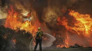 Forest service land has the top 10 states that are projected to see the biggest increase in the number of high wildfire. Explosive Western Blazes Portend Long Fire Season Ahead Thehill