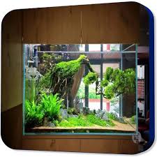 You can build your aquascape aquarium without rule thirds, but there are few things you should consider if you follow these rules, i bet you can make your aquascape aquarium look aesthetically more so you want to set up your aquarium and there are so many amazing ideas in your head. Aquascape Design Ideas Apk 1 0 Download Apk Latest Version