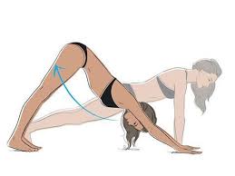 27 Exercises To Build A Strong Af Core From Home No Equipment Necessary In 2020 Stomach Workout Workout For Flat Stomach Tummy Workout