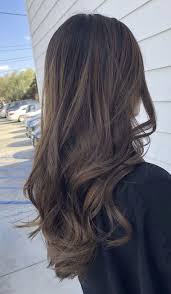 Single Process Brunette Hair Color Light Brown Hair Styles Brunette Hair