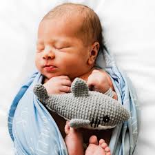 Ethan Richey (@ethanjrichey) • Instagram photos and videos