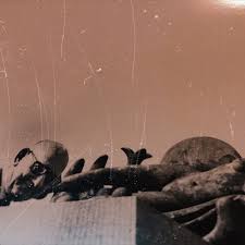 They would slash their throat and then pull their toungue out from the open wound. Colombian Necktie By Minawasay