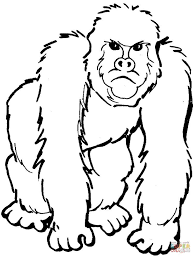 Silverback Gorilla Coloring Pages The Gorilla Is The Second Species After The Chimpanzee Is Closest To Zoo Coloring Pages Animal Coloring Pages Coloring Pages