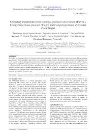 Image result for Campylospermum hiernii