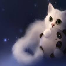 Marissa Talbot (@MarissaTalbot)