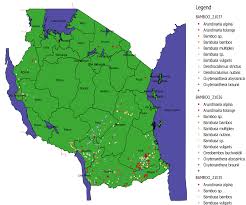 Image result for Oreobambos