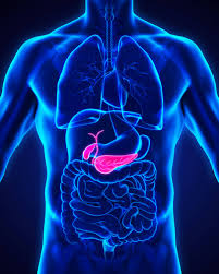 Pancreatic cancer is now the second leading cause of cancer deaths just behind lung cancer. New Blood Test Could Rapidly Detect Pancreatic Cancer Health News Et Healthworld