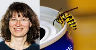 Guider, Bydel Nordstrand