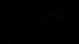 Background black black colour black background colour colour background texture red pattern brown green season abstract macro light traces of high definition picture decoration animal yellow. Black And Color Wallpapers Top Free Black And Color Backgrounds Wallpaperaccess
