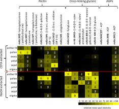 A plant cell wall was first observed and named (simply as a wall) by robert hooke in 1665. Glycan Profiling Of Plant Cell Wall Polymers Using Microarrays Protocol