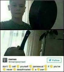 This could be the only web page dedicated to explaining the meaning of pansexual (pansexual ever wondered what pansexual means? Dopl3r Com Memes Don T Call Yourself Pansexual If You Ve Never Deepthroated A Pan