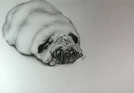 Maybe you would like to learn more about one of these? Pin On Dogs