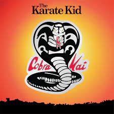 The Karate Kid Cobra Kai Logo Enamel Pin Silver Edition Exclusive In 2021 Kid Cobra Karate Kid Cobra Kai Karate Kid