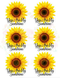 Download Sunflower Svg For Tumbler Novocom Top