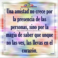 La Amistad Reflexiones Y Lecturas Para Meditar Frases Bonitas Para Amigos Pensamientos De Amistad Cartelitos De Amistad