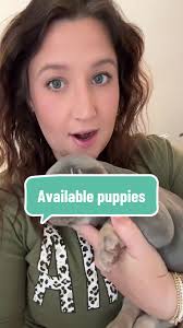 Alabama French Bulldogs