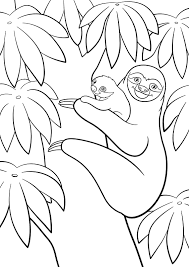 Colors of the world coloring book, 48 pages $ 1.49. Sloth Coloring Pages 100 Pictures Free Printable