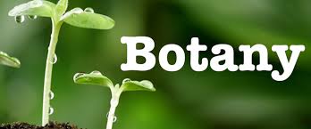 Image result for msc botany admission