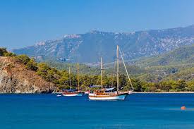 In eerste instantie kan je er voor kiezen om een vakantie te boeken om te genieten onder de zon aan de turkse kust. Goedkope Vakantie Turkije 2021 De Vakantiediscounter