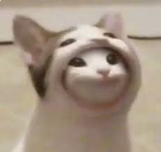 The best gifs are on giphy. Pop Cat In Pop Cat Hoodie Memetemplatesofficial