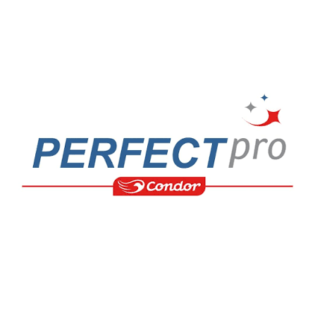 Logo Perfect Pro | Condor
