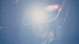 Zeiss Announces Radiance Prime Lenses With Controlled Flare Effects For Cinematographers Digital Photography Review Abused, confused, & misused words by mary embree copyright ©.