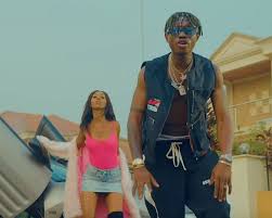 Video Zlatan Quilox Naijaloaded