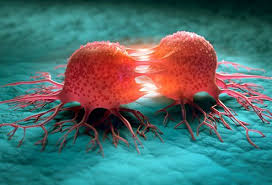Fifty percent of dogs over the age of 10 develop cancer at some point. Is Metastatic Cancer Curable