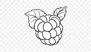 We offer to color the raspberry with the help of a filling or a marker. Drawing Raspberry Coloring Book Fruit Cupcake Png 600x470px Watercolor Cartoon Flower Frame Heart Download Free