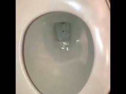 Flushing Airpods Down The Toilet Youtube