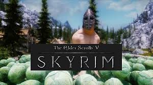 Skyrim script extender wasn't compatible with skyrim: Mods That Will Still Be Mandatory For Skyrim Special Edition The Elder Scrolls V Skyrim