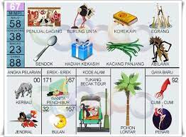 Check spelling or type a new query. Kode Alam 12