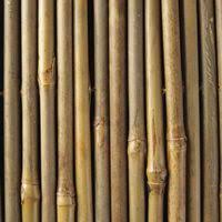 Epingle Sur Bamboo