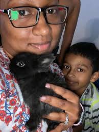 What tips do you have for new bunny owners?