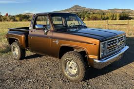 Image result for Light Saddle 1987 GM