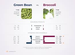 Larger beans like butter and lima are higher in net carbs than smaller beans like black and pinto. Nutrition Comparison Green Bean Vs Broccoli