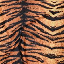 | do not repost any of my art without permission. Siberian Tiger Funki Fabrics