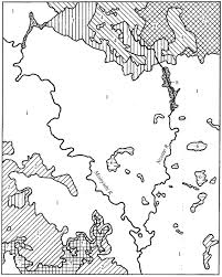 Image result for Trichoneura grandiglumis