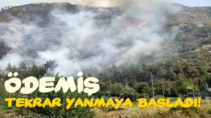 Ülke genelinde birçok noktada başlayan ve şiddetini artıran yangınlar ile mücadele devam ederken i̇l valilikleri harekete geçerek şehirlerdeki ormanlara giriş çıkışları yasakladı. Jofoc0mlcjkkpm