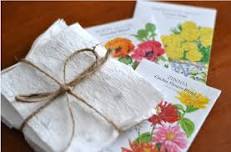 Mystery Seed Packet Creation Workshop