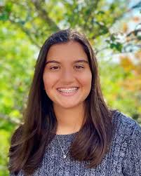 Is the teaching of civics valuable to maintaining American democracy? Why  is the rule of law important to American democracy, an