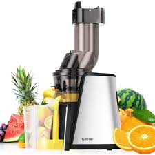 Extracteur De Jus Centrifugeuse Fruits Et Legumes En Acier Inoxydable Pc Avec 2 Tasses 1 Brosse De Nettoyage En Blanc Argente Noir Achat Vente Extracteur De Jus Cdiscount