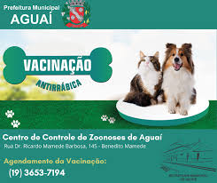 As campanhas acontecem sempre em agosto e existem. Vacinacao Antirrabica De Caes E Gatos Ja Pode Ser Agendada Prefeitura Municipal De Aguai